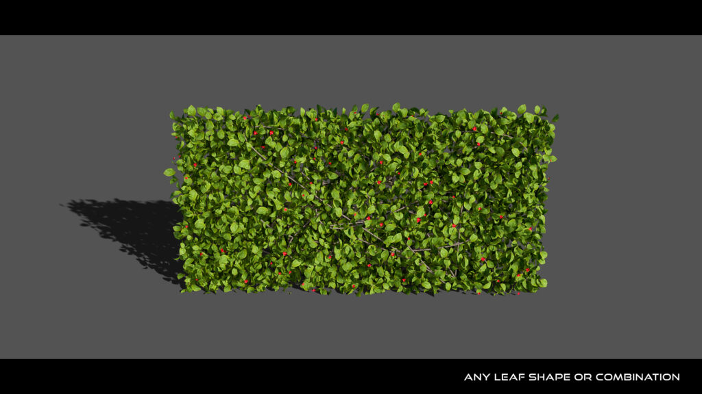 Ivygen+ hedge with leaves